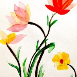 Flores